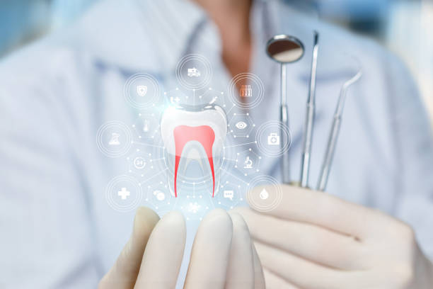 Best Dental X-Rays and Imaging  in Malta, IL